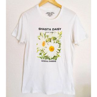 シップス(SHIPS)のSHIPSのTシャツ(Tシャツ/カットソー(半袖/袖なし))