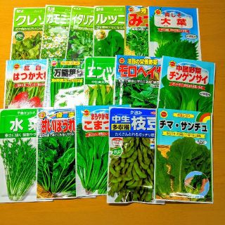 【80種類】野菜の種、ハーブの種、花の種　自分の欲しい種類を選んで購入！　(野菜)