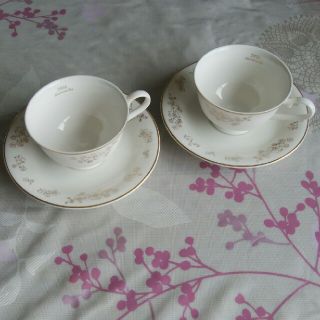 アフタヌーンティー(AfternoonTea)のAfternoon Tea　ティーカップソーサー　ペア　未使用品(グラス/カップ)