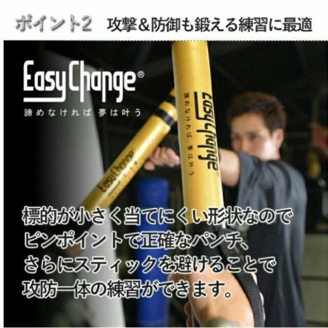 Easychange ボクシングスティックミット  パンチングミット スポーツ/アウトドアのスポーツ/アウトドア その他(ボクシング)の商品写真