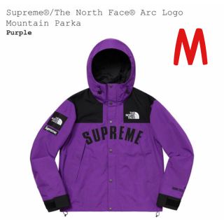 シュプリーム(Supreme)のSupreme The North Face Mountain Parka M(マウンテンパーカー)