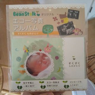 エコー写真 アルバム(アルバム)