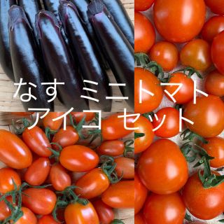 なす ミニトマト アイコ セット(野菜)