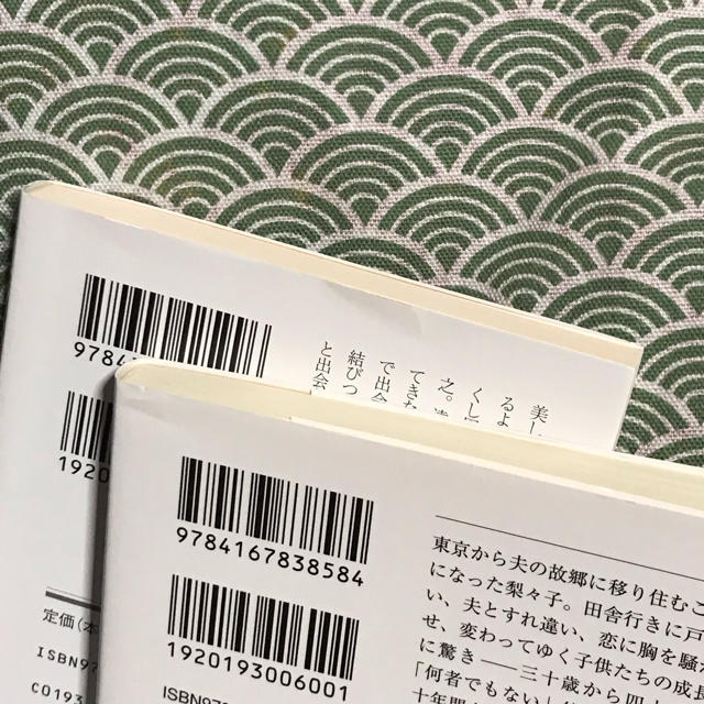 宮下奈都 ２冊セット エンタメ/ホビーの本(文学/小説)の商品写真
