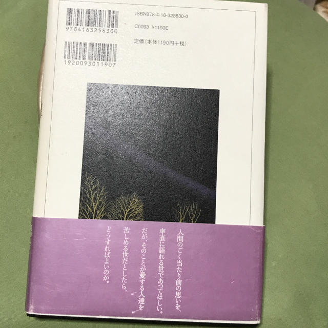 お得意様専用   玻璃の天 鷺と雪    北村薫 エンタメ/ホビーの本(文学/小説)の商品写真