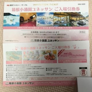 箱根ユネッサン 入場引換券 2枚セット ペア 箱根小涌園ユネッサン(プール)