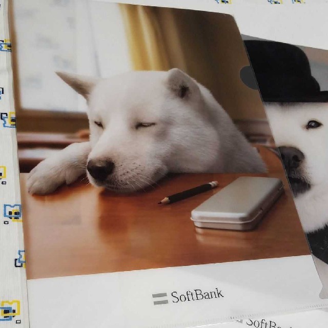 Softbank(ソフトバンク)のSoftBank　クリアファイル エンタメ/ホビーのアニメグッズ(クリアファイル)の商品写真