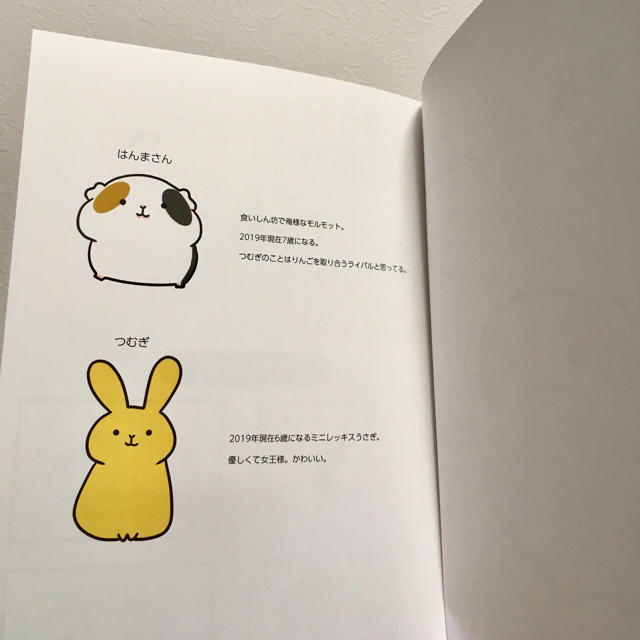 俺様、はんまさん 漫画と写真集セット モルモット エンタメ/ホビーの同人誌(その他)の商品写真