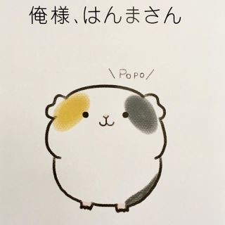 俺様、はんまさん モルモットの4コマ漫画(その他)