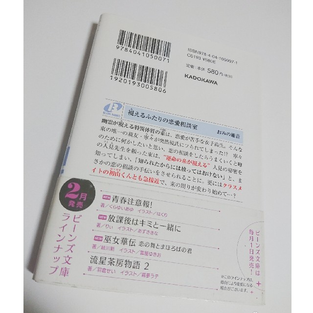 視えるふたりの恋愛相談室 おみの維音 ビーンズ文庫 野いちご エンタメ/ホビーの本(文学/小説)の商品写真