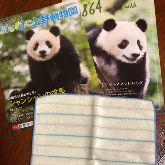 ☆わかな様専用☆新品☆シャンシャン 2つ♡の通販 by maple|ラクマ