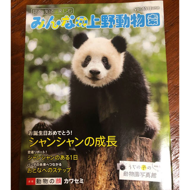 ☆わかな様専用☆新品☆シャンシャン 2つ♡の通販 by maple|ラクマ