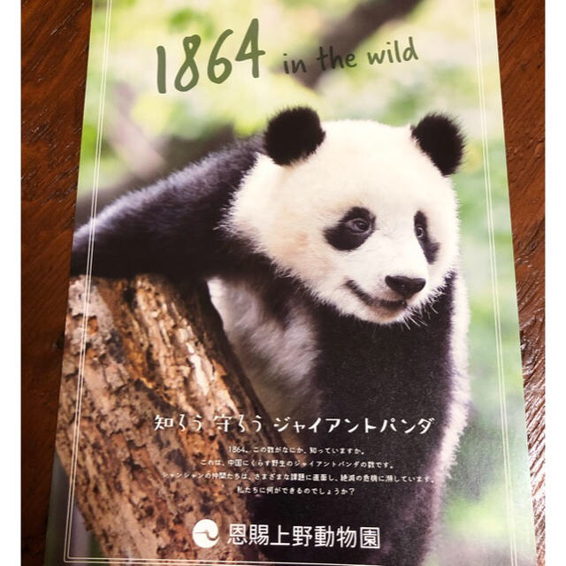☆わかな様専用☆新品☆シャンシャン 2つ♡の通販 by maple|ラクマ