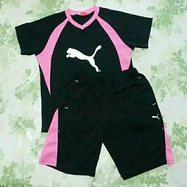 PUMA(プーマ)のPUMA 【上下セット】女の子 Tシャツ/パンツ スポーツ向き キッズ/ベビー/マタニティのキッズ服女の子用(90cm~)(Tシャツ/カットソー)の商品写真