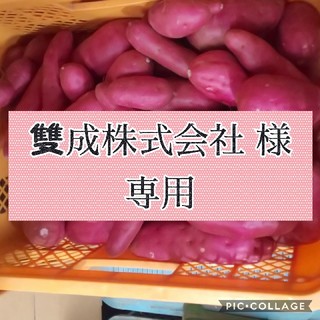 雙成株式会社様 専用 パープルスイート 20kg(野菜)