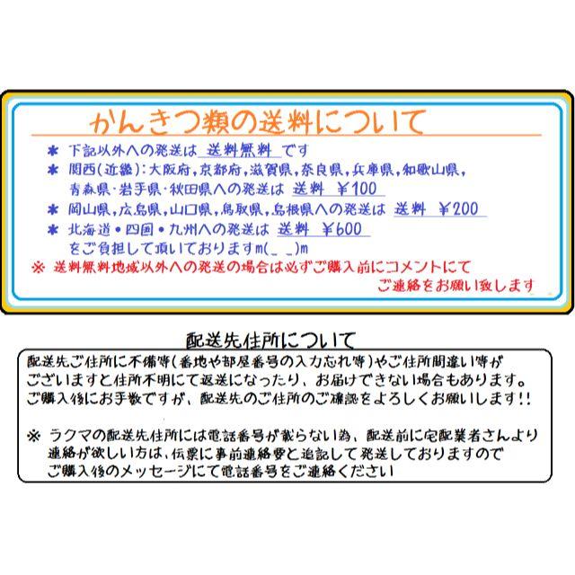 ５㌔セット🍊かんきつ色々詰合わせ柑橘 ご家庭用 産地直送 数量限定 食品/飲料/酒の食品(フルーツ)の商品写真