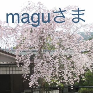 maguさま専用(その他)