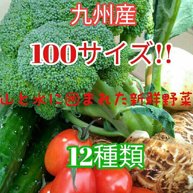 大人気✨九州産100サイズ新鮮春野菜12種類を箱いっぱい詰め合わせセット✨ 食品/飲料/酒の食品(野菜)の商品写真