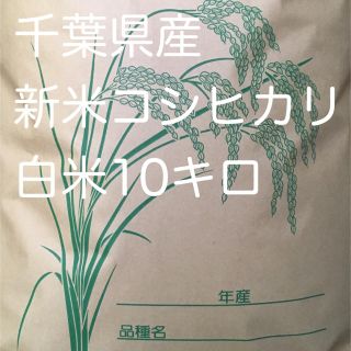 り様専用コシヒカリ白米5キロ×2(米/穀物)
