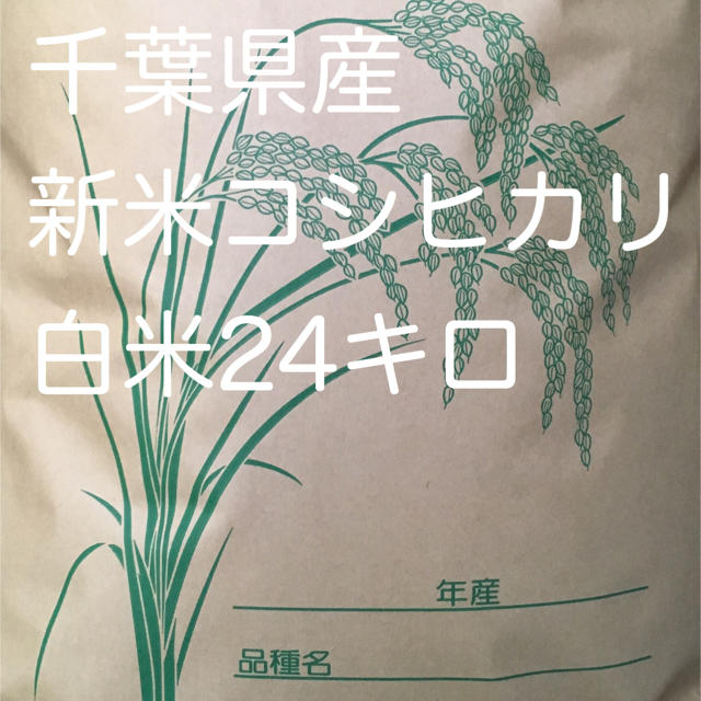 30年度産新米コシヒカリ、米袋込み24キロ、白米のみ♪　米/穀物