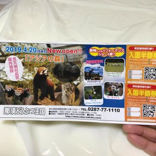 那須どうぶつ王国 入国半額券(動物園)