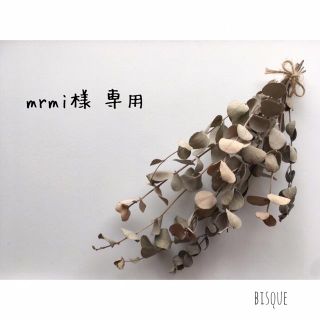 mrmi様 専用(その他)