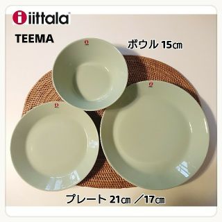 イッタラ(iittala)の【新品】iittala イッタラ ティーマ セラドングリーン プレート&ボウル(食器)