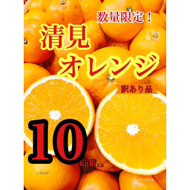 清見オレンジ 訳あり品 本日までこの価格! 食品/飲料/酒の食品(フルーツ)の商品写真