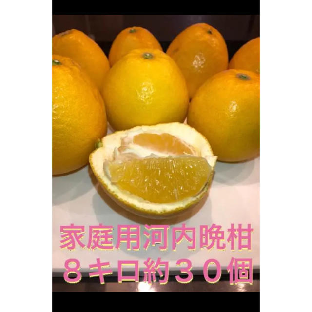 河内晩柑 宇和島 みかん 美生柑 グレープフルーツ ビタミン 食品/飲料/酒の食品(フルーツ)の商品写真