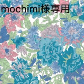 mochimi様専用(ワンピース)