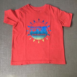 パタゴニア(patagonia)のHANA0522様専用。patagonia2T(Tシャツ/カットソー)