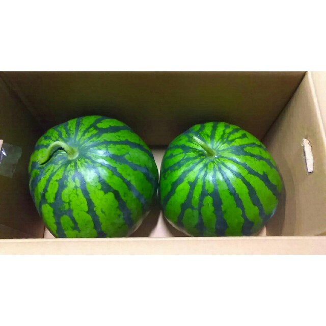 《お待たせ致しました!》熊本特産一番なりすいか2玉 送料無料2 食品/飲料/酒の食品(フルーツ)の商品写真