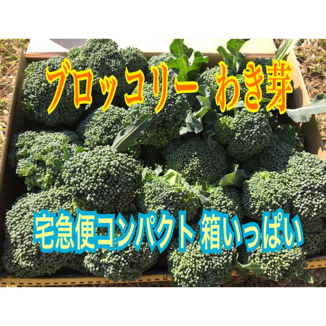 ブロッコリー わき芽 減農薬 おはよう 宅急便コンパクト 箱いっぱい 食品/飲料/酒の食品(野菜)の商品写真