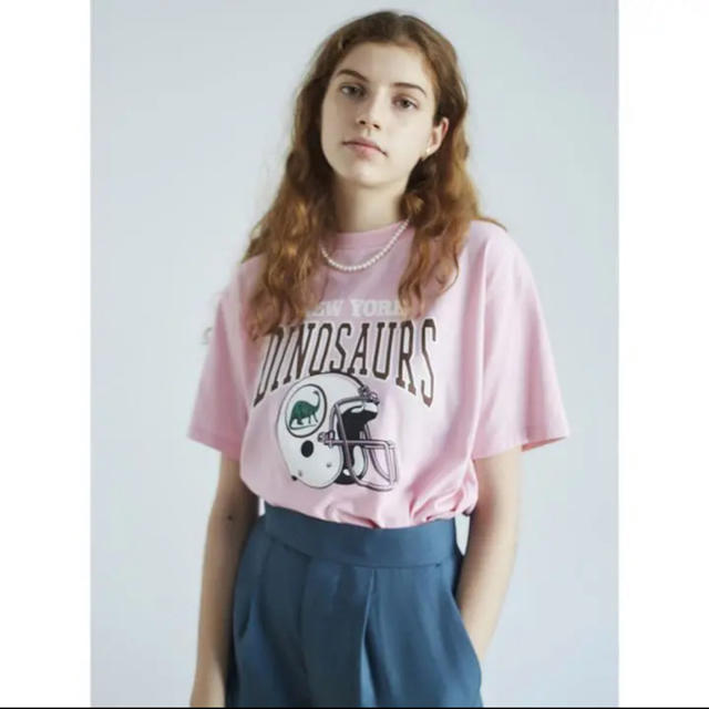 Shinzone(シンゾーン)の【値下げ！】THE SHINZONE DINOSAUR'S TEAM Tシャツ レディースのトップス(Tシャツ(半袖/袖なし))の商品写真