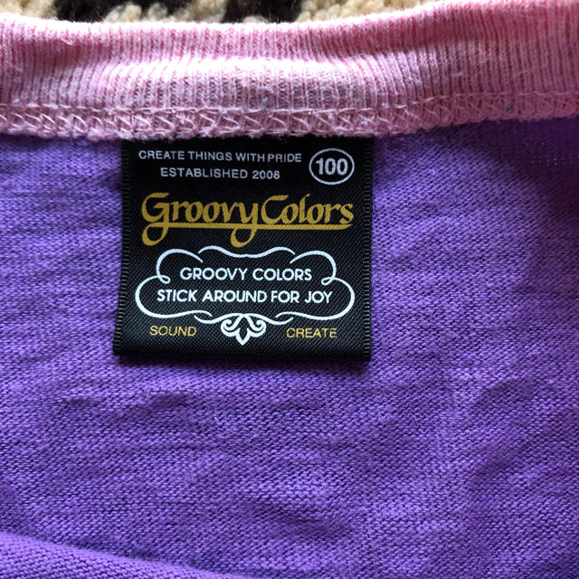 Groovy Colors(グルービーカラーズ)のGROOVY COLORS  カットソー  サイズ100 キッズ/ベビー/マタニティのキッズ服女の子用(90cm~)(Tシャツ/カットソー)の商品写真