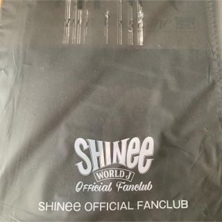 シャイニー(SHINee)のSHINee seek vol.013 最新号(アート/エンタメ/ホビー)