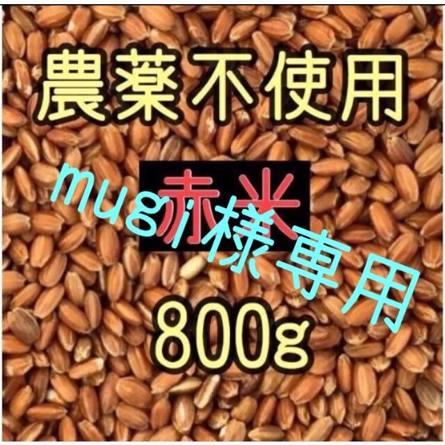 mugi様専用  赤米（古代米）　愛媛県産　800ｇ 食品/飲料/酒の食品(米/穀物)の商品写真