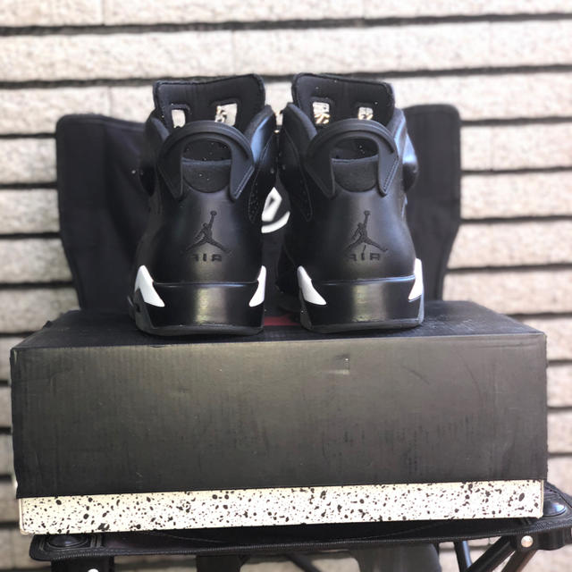 NIKE(ナイキ)のNIKE Jordan6 "black cat" 28.0 メンズの靴/シューズ(スニーカー)の商品写真