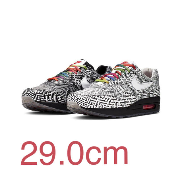 29.0cm  NIKE AIR MAX 1 TOKYO MAZE エアマックス