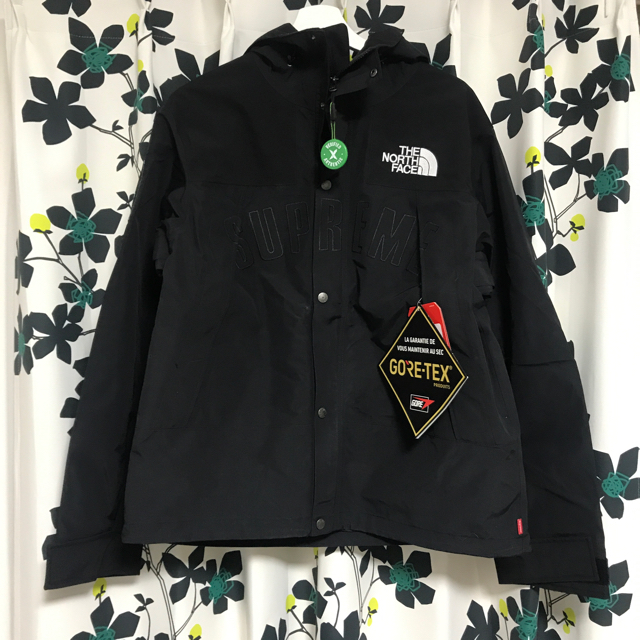 supreme the north face 19ss size M