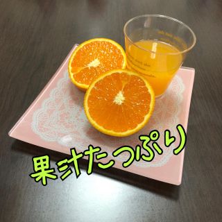 愛媛県産 ☆清見オレンジ☆農家直送便 家庭用 約5kg(フルーツ)