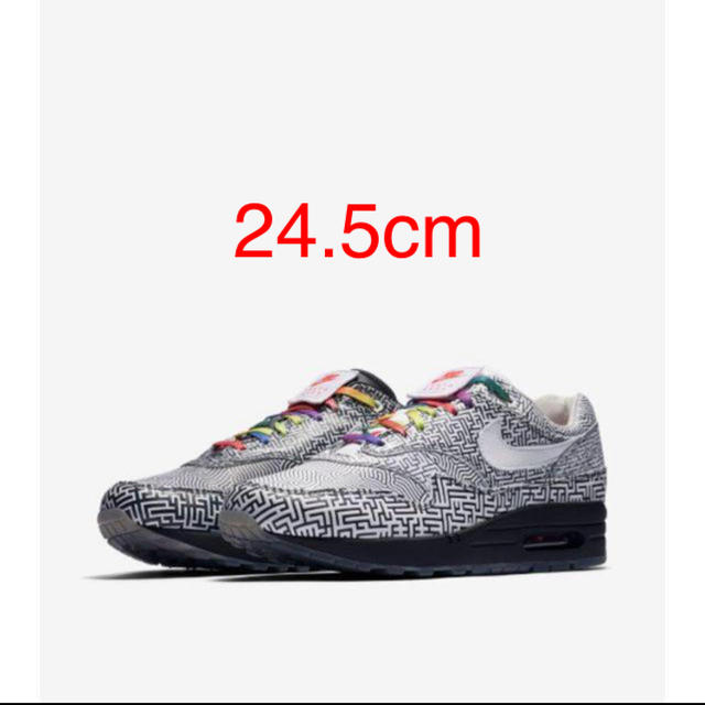 Nike Air Max 1 on air tokyo maze 24.5cm