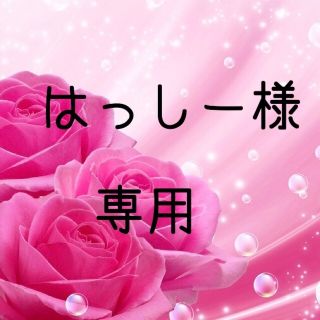 はっしー様専用 お米H30愛媛県産あきたこまち　玄米　20㎏(米/穀物)