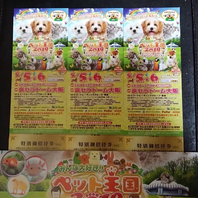 ペット王国　2019　 特別御招待券　3枚 チケットのイベント(その他)の商品写真