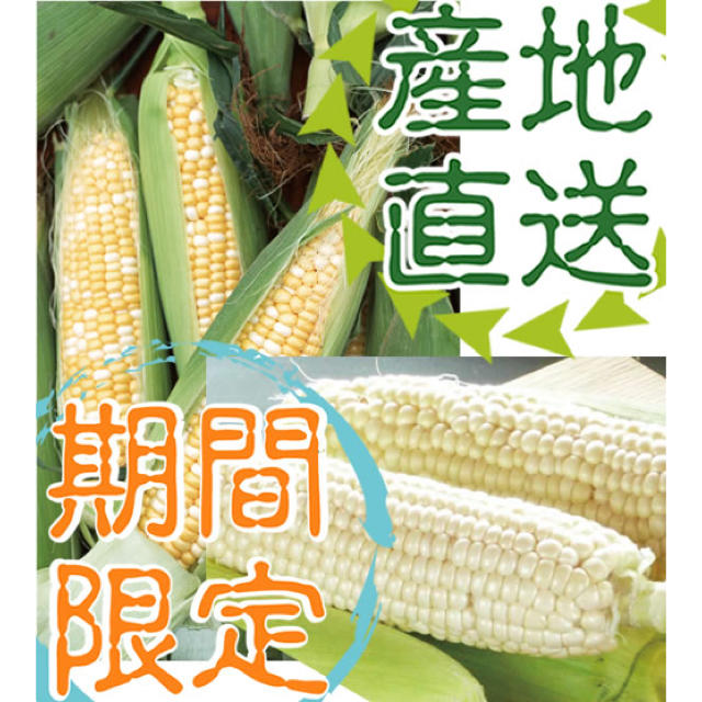 北海道産 ゆでトウモロコシ 有機JAS認定 食品/飲料/酒の食品(野菜)の商品写真