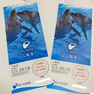 新江ノ島水族館 ペアチケット(水族館)