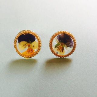 本物パンジー閉じ込めピアス(ピアス)