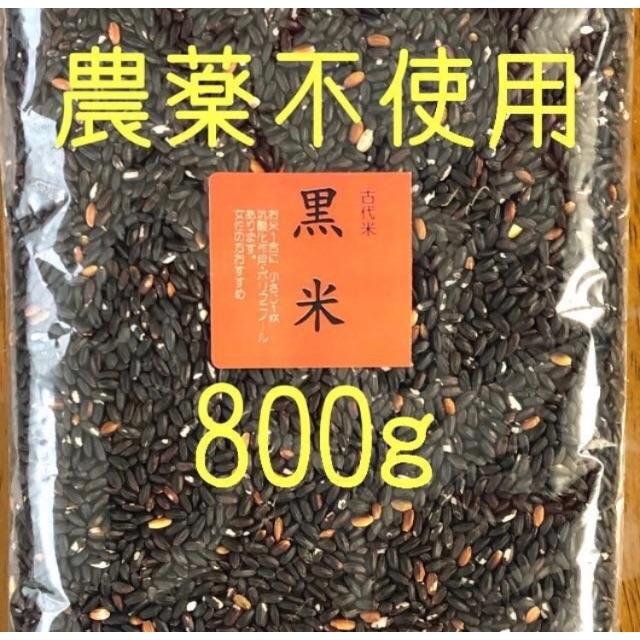 黒米(古代米)　愛媛県産　800ｇ 食品/飲料/酒の食品(米/穀物)の商品写真