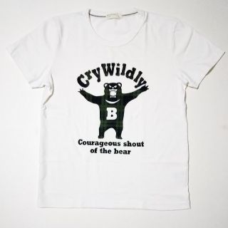 バックナンバー(BACK NUMBER)のback number メンズ フェルト デザイン Tシャツ S (Tシャツ/カットソー(半袖/袖なし))