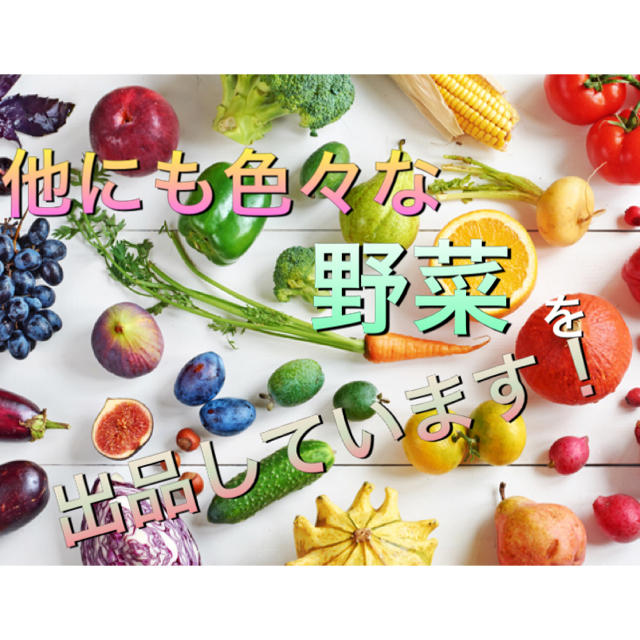 北海道産 ゆでトウモロコシ 有機JAS認定 食品/飲料/酒の食品(野菜)の商品写真